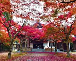 呑山観音寺の画像