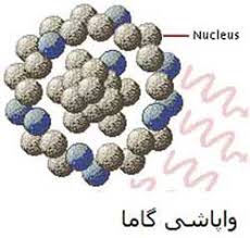 Image result for ‫پرتو گاما‬&lrm;