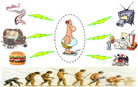 Resultado de imagen para gasto energetico de un sedentario