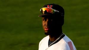 What to know about new Milwaukee Brewers outfielder Luis Lara