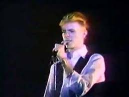 Image result for thin white duke