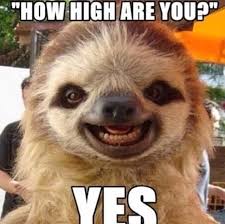 Image result for How are you meme