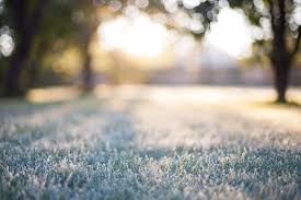 Parts of CNY in store for some frost tonight