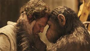 Image result for oscars 2015