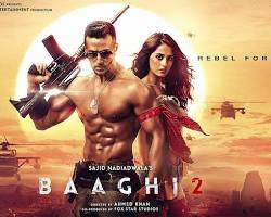 Image of Baaghi 2 (2018) movie poster