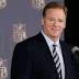 Roger Goodell Says Changes to His Role May Be Coming