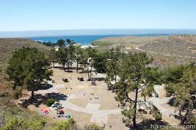 Image result for montana del oro