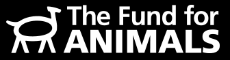 Image result for animal fund