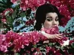 Image result for Film (Saajan) (1969)