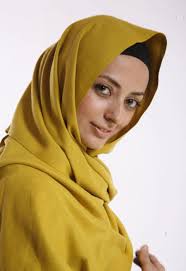 عکس های نفیسه روشن 1