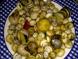 Resultado de imagem para figos de Sao Joao