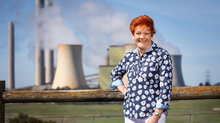 One Nation's new NSW leader Mike Newman eyes Western Sydney takeover; likens Hanson's 'swamped by Asians' comment to Trump's 'grab them by the p----' remark