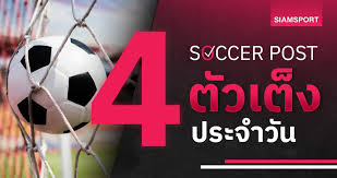 Siamsport - News update
