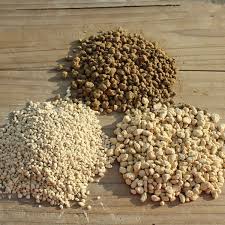 「Kanuma soil」の画像検索結果