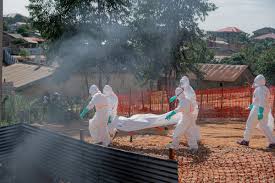 Trend Google: malattia da virus ebola