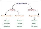 Classification Of Carbohydrates -