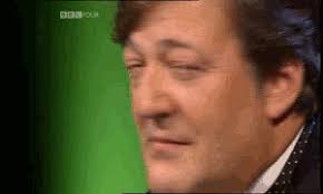 Résultat de recherche d'images pour "stephen fry"