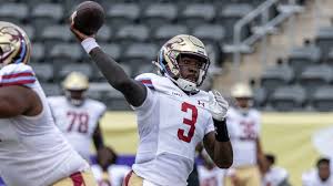 UFL Quarterbacks Lead Michigan Panthers to Championship