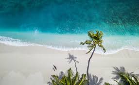 Viral Video Claims Maldives Tourism Down By 90% Amid Iran War. What Official Data Says