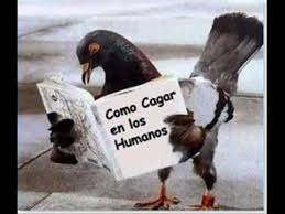 Resultado de imagen para imagenes chistosas que den mucha risa