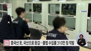 네이트 뉴스 - News update