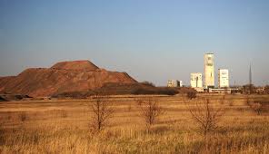 Katta yalangoch eshak