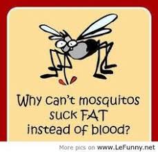 Mosquito Humour on Pinterest | Mosquitoes, Humorous Sayings and ... via Relatably.com