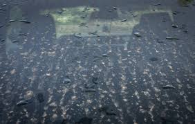 Why is my car dirty after Tuesday night’s rain?