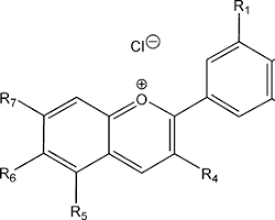 Anthocyanines