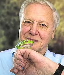 Sir David Attenborough explores the reptile kingdom in Life in Cold Blood. Stephen Pile. 12:01AM GMT 09 Feb 2008 - arts-graphics-2008_1183744a