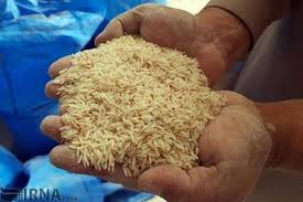 قیمت جدید برنج ایرانی و خارجی اعلام شد/ قیمت برنج هندی و پاکستانی چه تغییری کرد؟