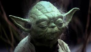 Image result for yoda