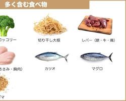 腸内環境に良い食材の画像