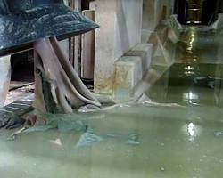 Image of soaking hide in chemical solution