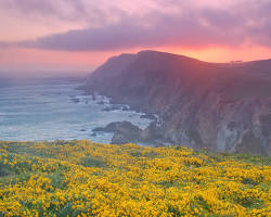 Image of Point Reyes National Seashore during super bloom