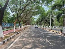 Restoring Tribhubaneswar: Time To Reclaim The City’s Natural Air Conditioning