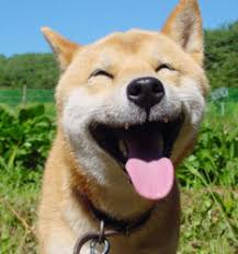 Résultat de recherche d'images pour 