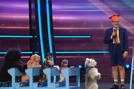 Românii au talent 2026: Dresorul Mikhail Ermakov a primit Golden Buzz de la Andra,"ajutată" de un patruped