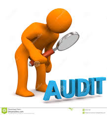 Hasil gambar untuk internal audit hospitals