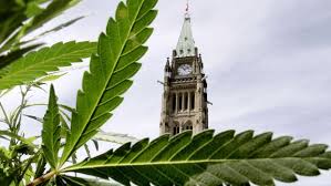 Resultado de imagen de Legalization