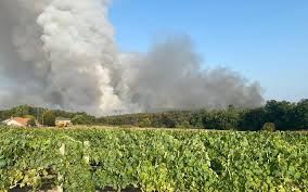 Charente Libre - News update