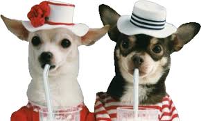 Résultat de recherche d'images pour "image mercredi humour"