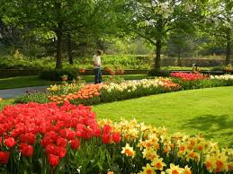 Resultado de imagem para belos jardins floridos