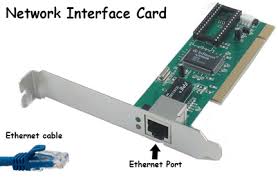 Image result for network interface card