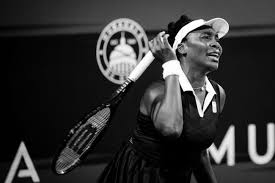 Trend Google: venus williams