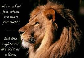 The Righteous Are As Bold As A Lion – Proverbs 28:1 — Abiding Fruit via Relatably.com