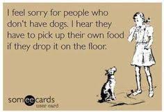 Animal Quotes &amp; Humor - Mostly Dog Ones on Pinterest ... via Relatably.com