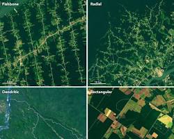 صورة satellite image showing deforestation