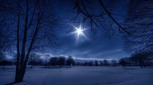 Bildresultat för la estrella de navidad