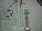 Hunting Bows eBay